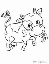 Vaca Boeuf Vaquita Veau Vache 1375 Hellokids Granja Vaquitas Infancia Colorier Lola Vacas Bonitinha Jedessine Farm Tiernas Paginas sketch template