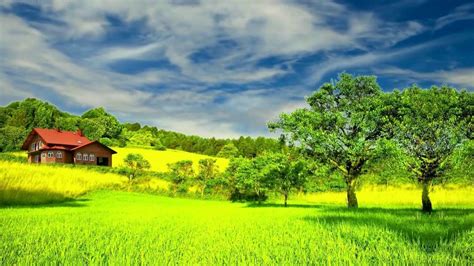hd p beautiful green nature scenery video royalty  landscape