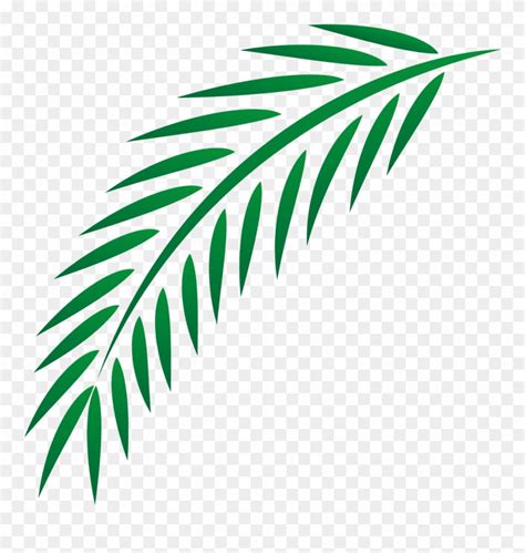 euclidean easter leaves transprent palm branch clipart