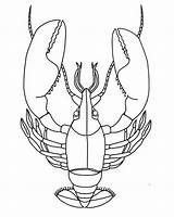 Lobster Drawing Simple Getdrawings sketch template