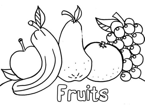 fruits coloring book  kidsworksheetfun