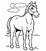 Coloring Horse Pages Draft Printable Comments sketch template