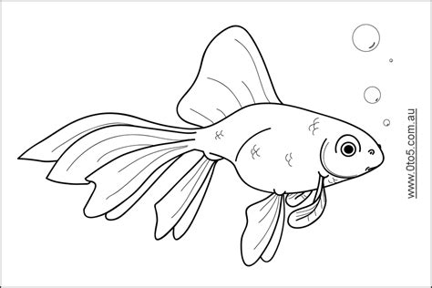 goldfish pages  preschoolers coloring pages