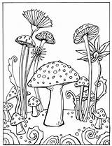 Coloring Pages Mushrooms Sheets Flora Fauna Fantasy sketch template