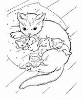 Kittens Coloring Cats Pages Printable Filminspector sketch template