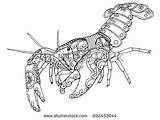 Zentangle Lobster sketch template