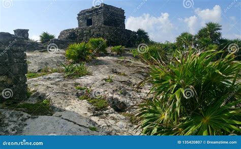 tulum national park mexico stock image image  maya archaeological