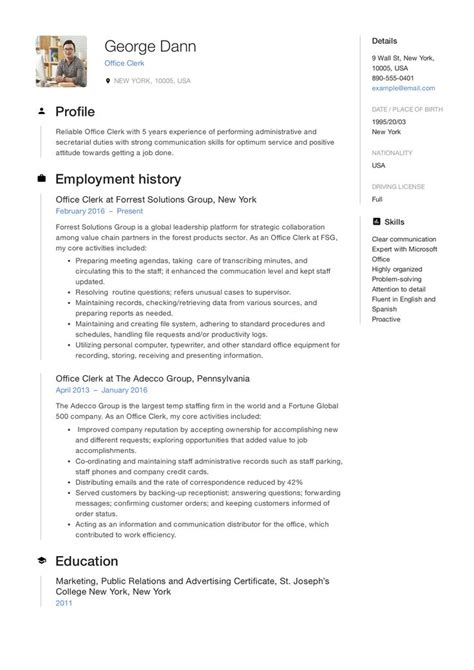 professional resume   work experience