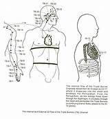 Triple Meridian Burner Warmer Chinese Medicine Acupuncture Heater Channel Points Pericardium Acupressure Lieske Traditional Internal Yang Aeon Lymphatic Meridians Point sketch template