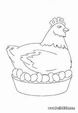 Coloring Chicken Easter Pages Drawing Egg Hen Getcolorings Color Getdrawings Popular sketch template