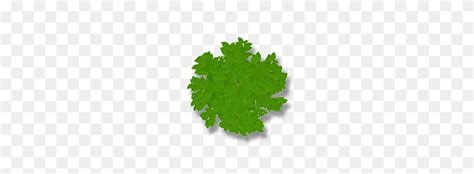 tree   png flyclipart