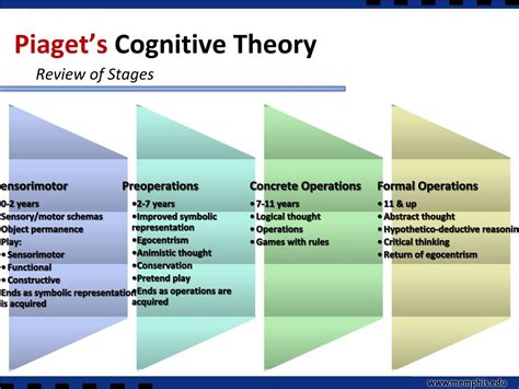 schemata theory   development occur piagets cognitive development theory