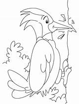 Woodpecker Coloring Pages Kids Great Spotted Print Printable Color Birds Woodpeckers Children Bird Preschool Pdf Animals Kindergarten Topcoloringpages Popular Recommended sketch template