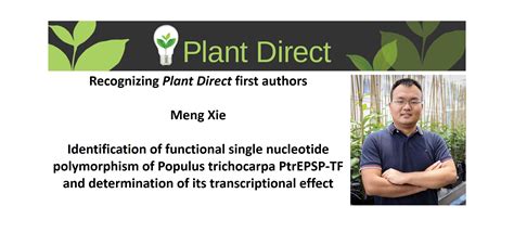 Plantae Recognizing Plant Direct First Authors Meng Xie Plantae