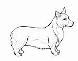 Corgi Realistic Coloring Drawing Pages Xcolorings 940px 60k Resolution Info Type  Size sketch template