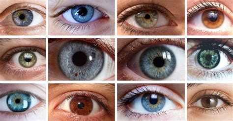 cientificos revelan como eres segun el color de tus ojos