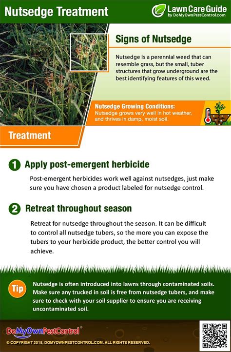 Learn The Signs Of Nutsedge And How To Get Rid Of Nutsedge With These