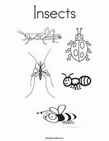 Insects Coloring Pages Worksheet Insect Printable Twistynoodle Kids Colouring Worksheets Tracing Sheets Circle Bug Print Animals Noodle Many Animal Letter sketch template