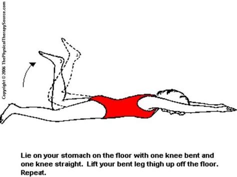 Trunk Pelvis Exercises From