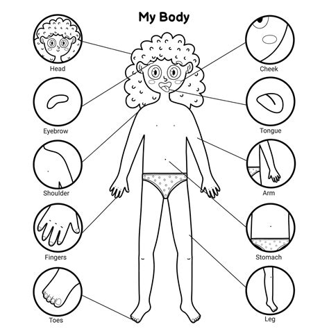 body coloring pages  preschoolers