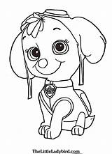 Ryder Paw Patrol Coloring Pages Getdrawings sketch template