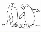 Penguin Penguins Coloring Template Pages Baby Adelie Templates Print Twin Pair Their Shape Animal Cartoons Paperblog Nest Arnold Caroline Books sketch template