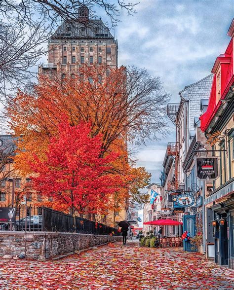 Quebec City During Autumn City Cities Buildings Photography