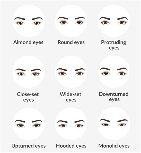 eye shapes optical centre vision direct au