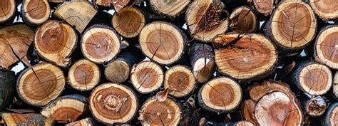 cherry wood wood types firewood king