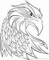 Adler Ausmalbild Adlerkopf Malvorlage Zum Aguila Ausmalen Vögel Kostenlose Kinderbilder Vetores Vektoren Tattoo Voegel Vogel Vectores Descricao Vektor Grafico Pixabay sketch template