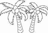 Tree Coconut Coloring Palm Palms Clipart Hawaii Drawing Line Getdrawings sketch template