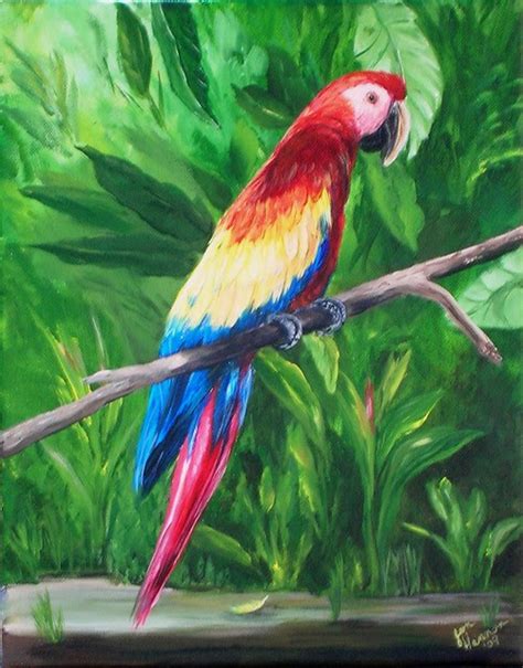 forest parrot jungle