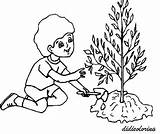 Planting Tree Drawing Coloring Boy Getdrawings Printable sketch template