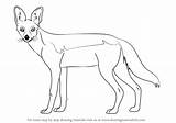 Jackal Draw Backed Drawing Step Animals Wild Tutorials Learn Drawingtutorials101 sketch template