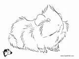 Guinea Pig Pages Coloring Print Adult Template sketch template
