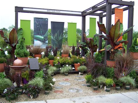 garden centre plant displays