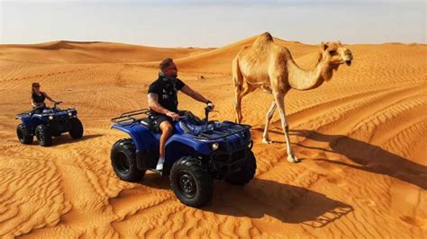 dubai morning atv quad biking desert safari adventure getyourguide