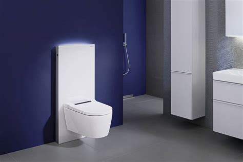 das dusch wc zwei praktische sanitaermoebel  einem objekt wohlers