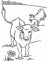 Fazenda Vaca sketch template