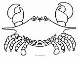 Crab Mewarnai Kepiting Crabe Crabes Coloriages Granchio Krab Printable Kolorowanki Dzieci Cangrejos Coloradisegni Tk Paud Colorier Animali Crustacean Ikan Berbagai sketch template