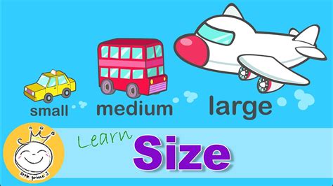 learn sizes small medium large sizes  kids youtube