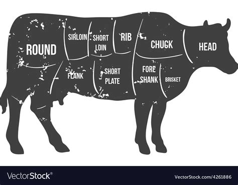 vintage butcher cuts of beef diagram royalty free vector