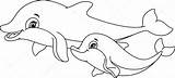 Dolphin Dolphins sketch template