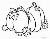 Pumpkin Coloring Pages Plant Itachi Drawing Printable Kids Fall Uchiha Outline Vines Gourd Getcolorings Autumn Getdrawings Pumpkins Print Paintingvalley Colorings sketch template
