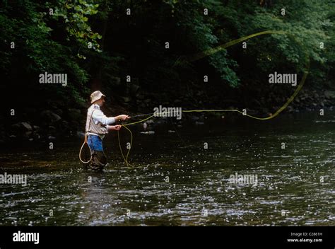 fly fisherman casting     stream  fairmount park philadelphia pennsylvania usa