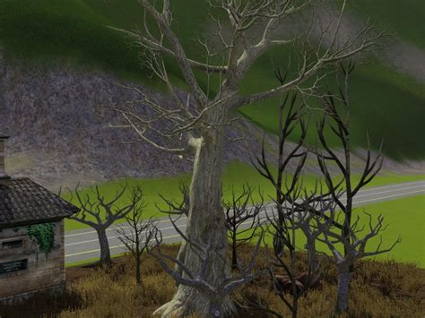 simming  magnificent style large spooky tree