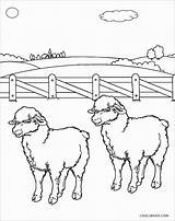 Sheep Coloring Pages Printable Kids Face Preschool Cool2bkids Coloringbay Choose Board sketch template