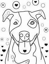Bull Staffordshire Colouring Dog Terriers Staffy Terrier sketch template