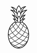 Ananas Malvorlage Pineapple Drawing Zum Coloring Ausdrucken Ausmalbilder Bild Line sketch template