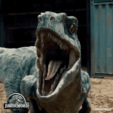 jurassic world find and share on giphy